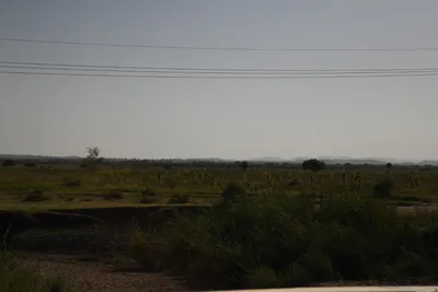 DSC_2686 (Large).JPG